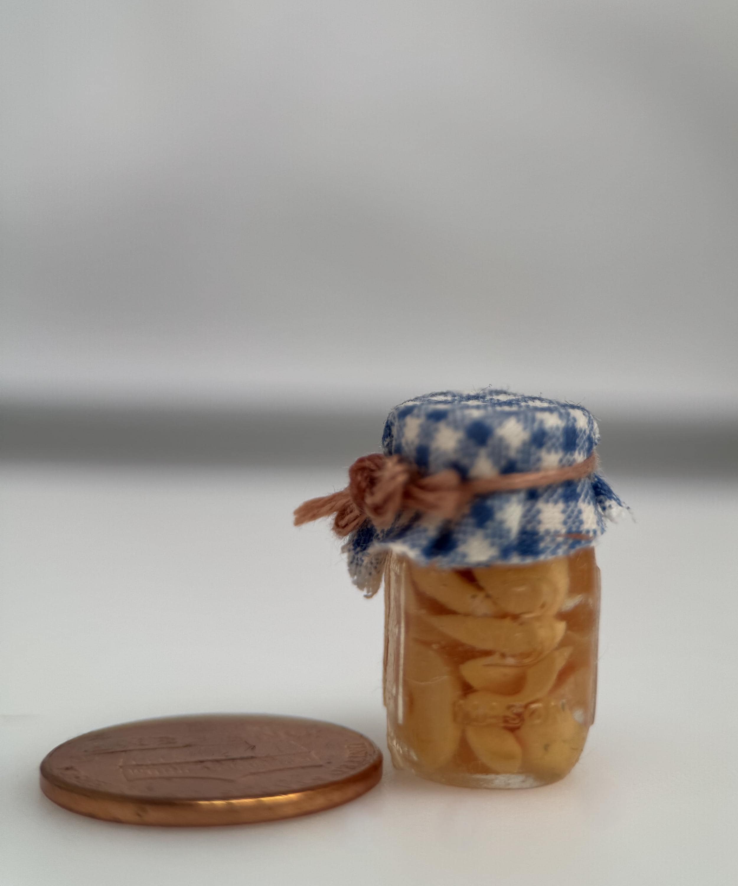 Dollhouse Miniature Jars of Preserved Foods