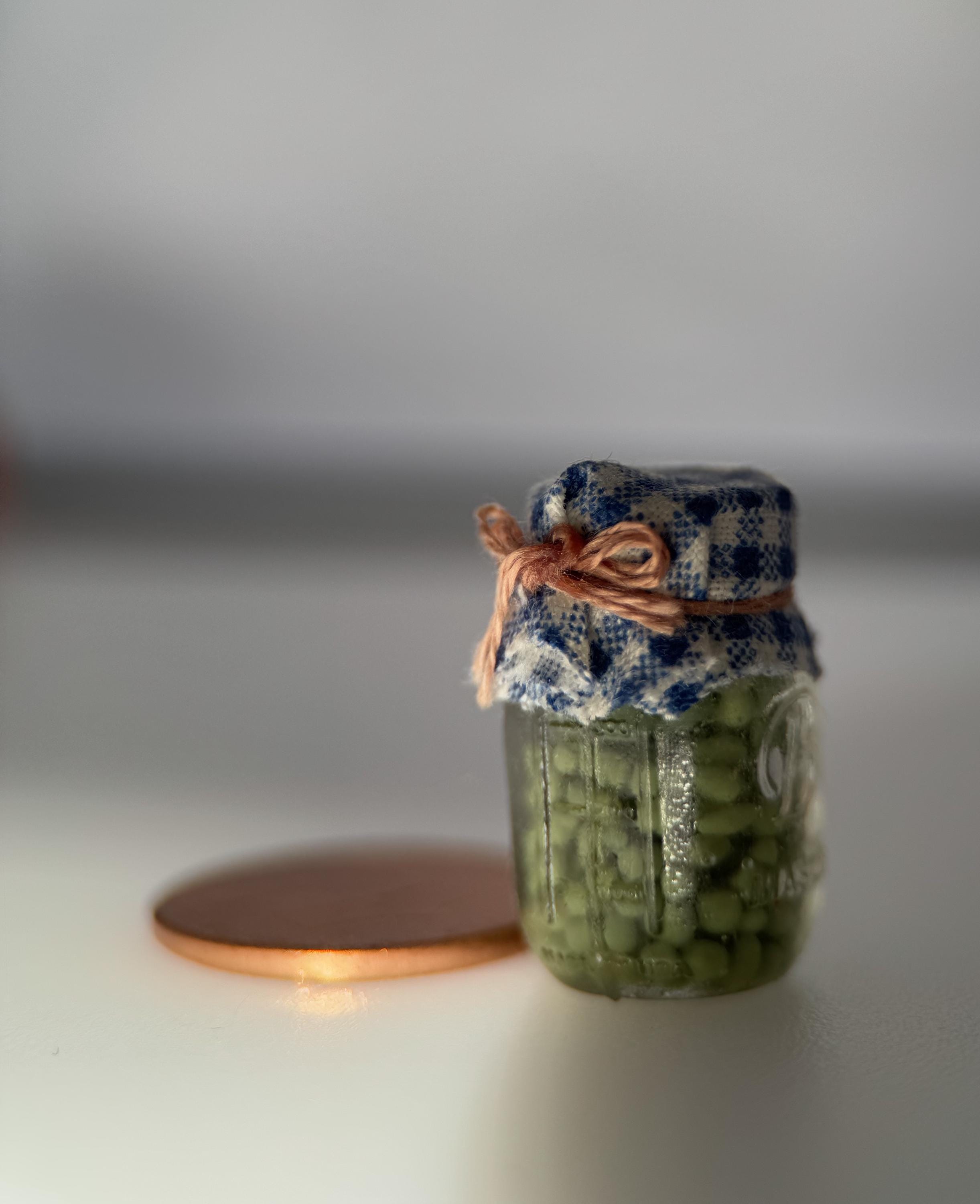 Dollhouse Miniature Jars of Preserved Foods