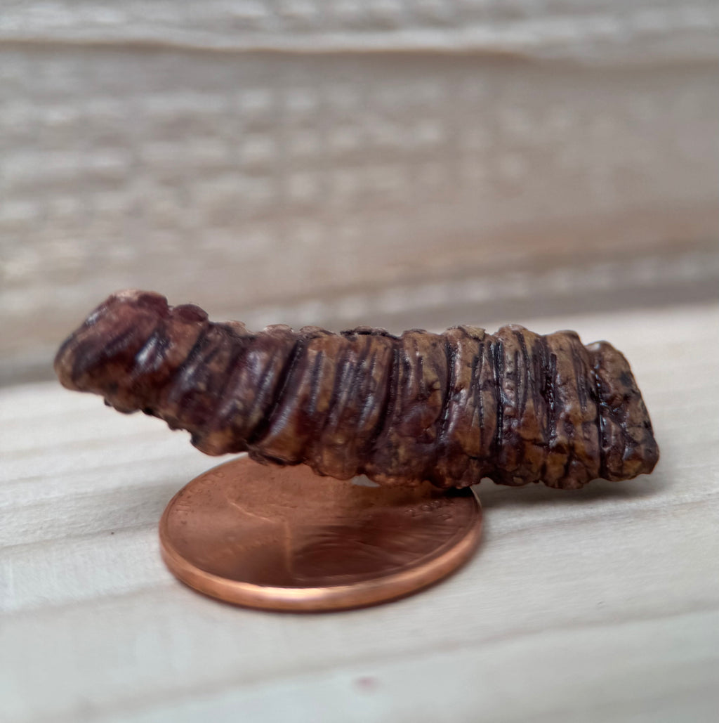1:12 Scale BBQ Ribs