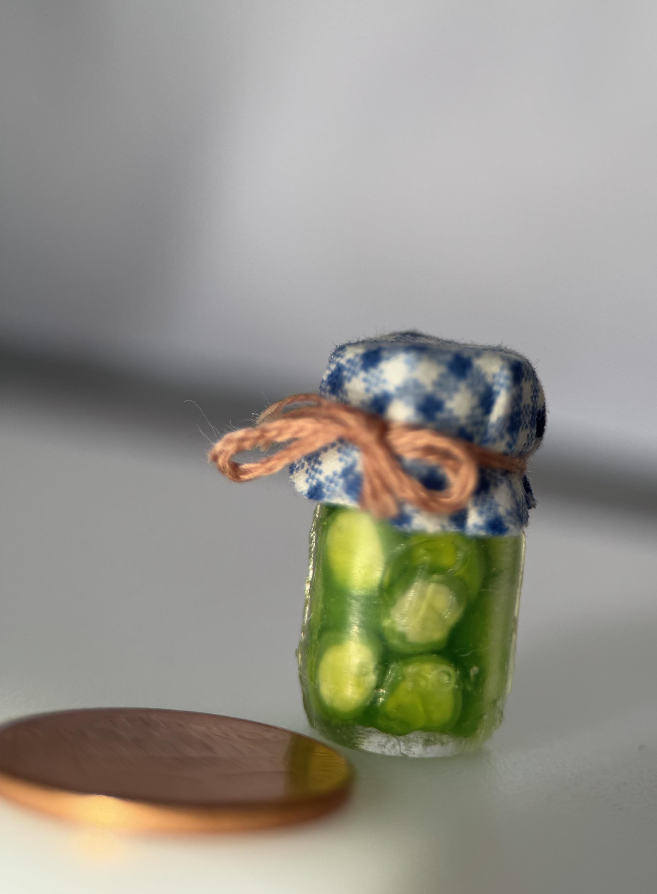 Dollhouse Miniature Jars of Preserved Foods